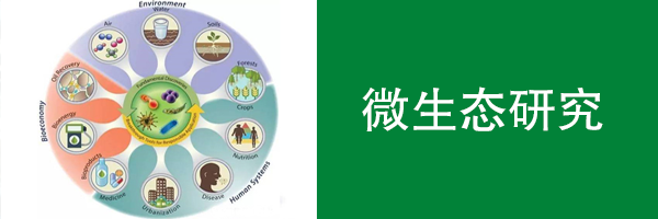 微生態(tài)研究