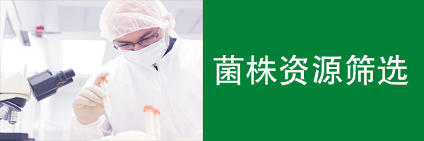 菌株資源篩選