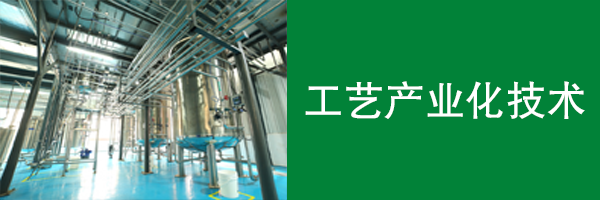 工藝產(chǎn)業(yè)化技術(shù)